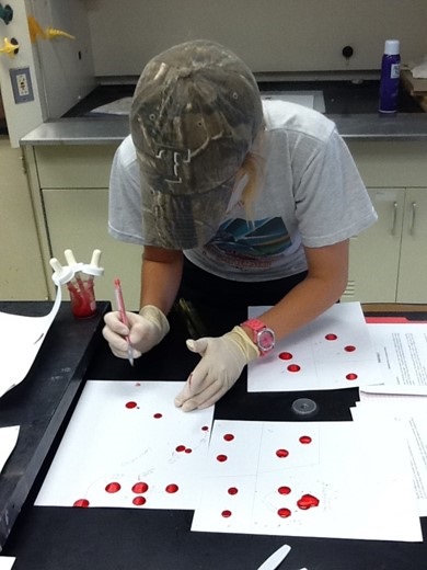 Forensic anthropology thesis for sale