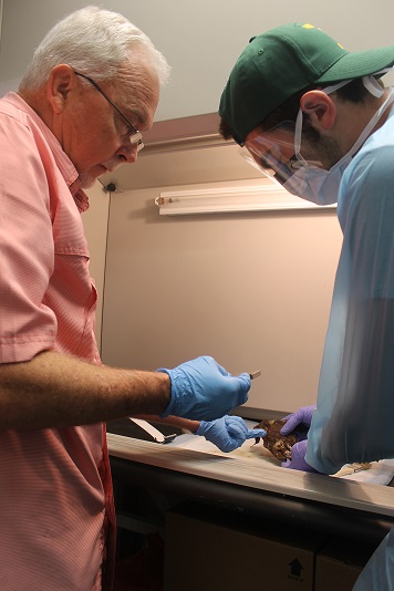 Senior Lecturer James Huggins working on a specimen with a student