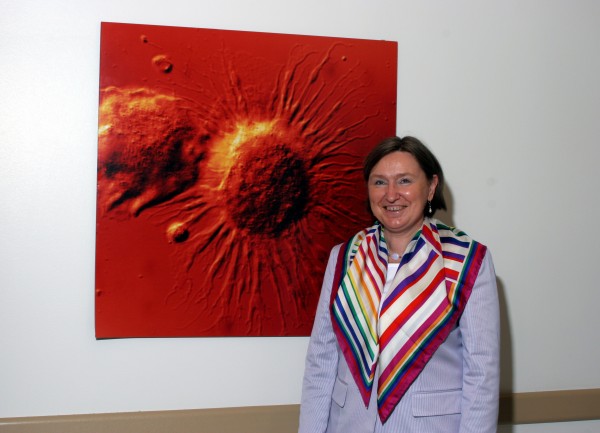 Dr. Palucka\'s Pic