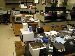 molecular biosciences center