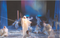0203 Winter's Tale 9