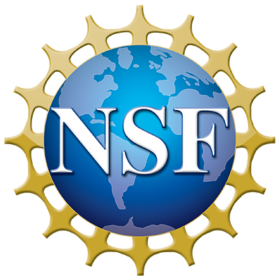 NSF Logo & ECS Scholars Program