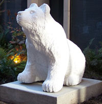 SpiritBearProfile