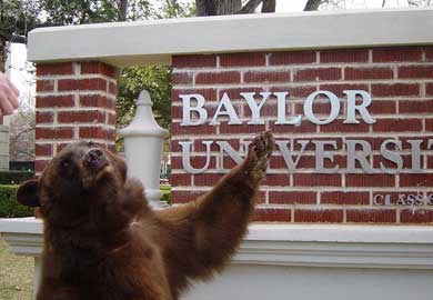 Mascot