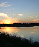 Waco Wetlands at Sunset by SP Johnson