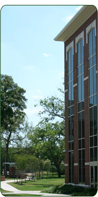 Dutton Parking Tall 2