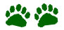 Paws