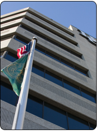 Robinson Tower with Flags