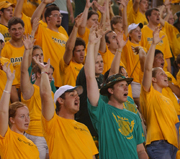 Fans - 180 pixels wide