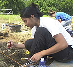 Archaeology - Dig Site