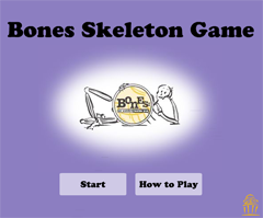 Flash Game