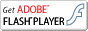 Flash Player Download