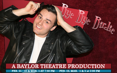 Bye Bye Birdie Logo