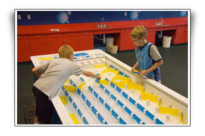 new water table