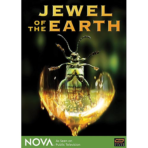 Nova Jewel of Earth