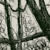 bk_print_04tn