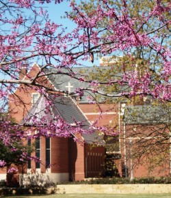 Spring view