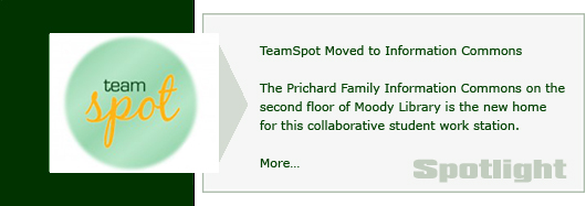 Spotlight_TeamSpot