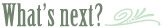 What's next?