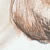bk_figure_02tn