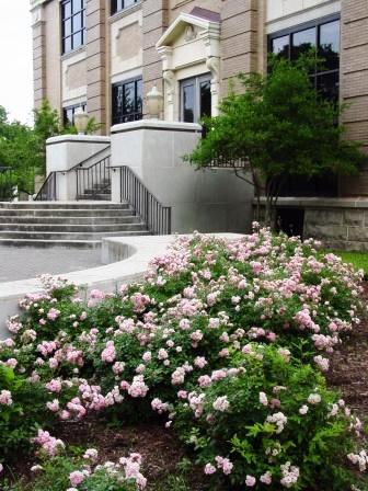 Carroll Library