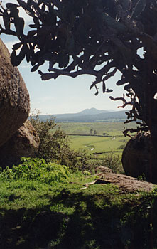 landscape2 (221w x 350h, 27 KB)