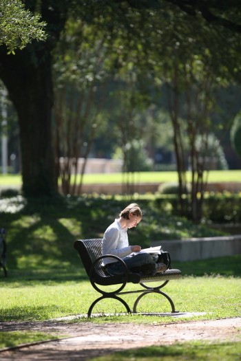 Student studying