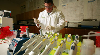 School of Education - Research Based Initiatives