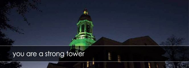 no_flash_tower2