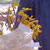 Fieldtrip_kleins01_tn