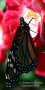 Male Monarch on Shrub Rose
