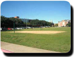Bear Park