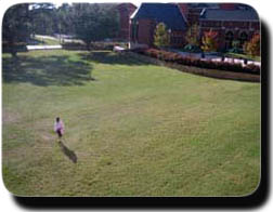 Minglewood Bowl