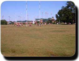 SLC Fields