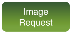 PHOTOGRAPHY_ImageReq