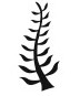 God Symbol