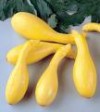 squash