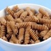 rotini