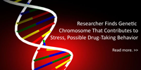 Stress Genes