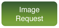 PHOTOGRAPHY_ImageReq