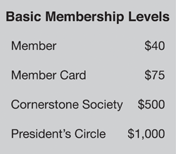 Support: Member Levels