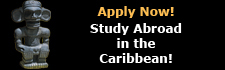 Apply Now