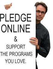 Pledge - Guy with Sign 2