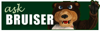 Ask Bruiser