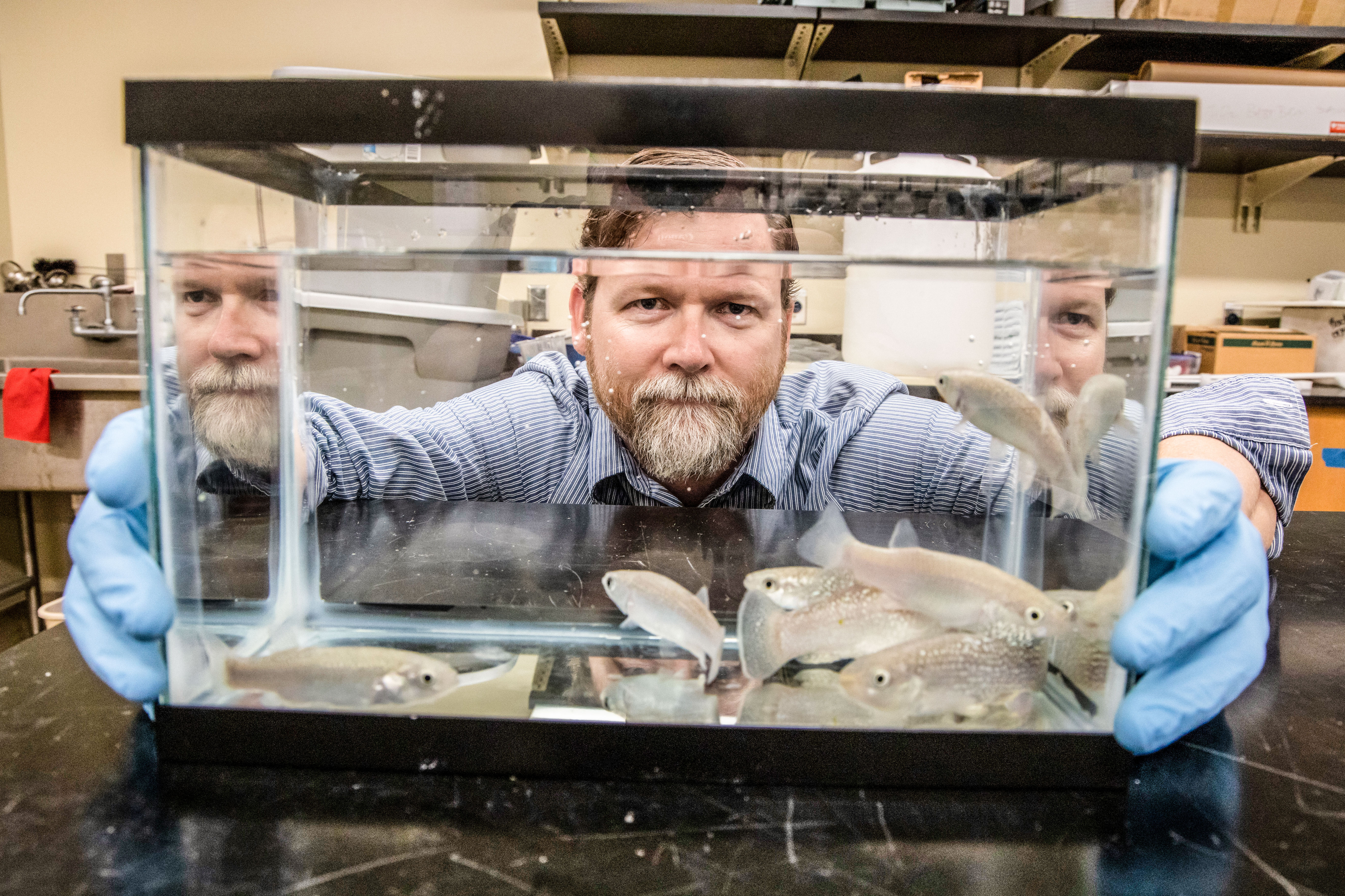 Cole Matson, PhD, associate professor of environmental science and a member of the Center for Reservoir and Aquatic Systems Research (CRASR) at Baylor