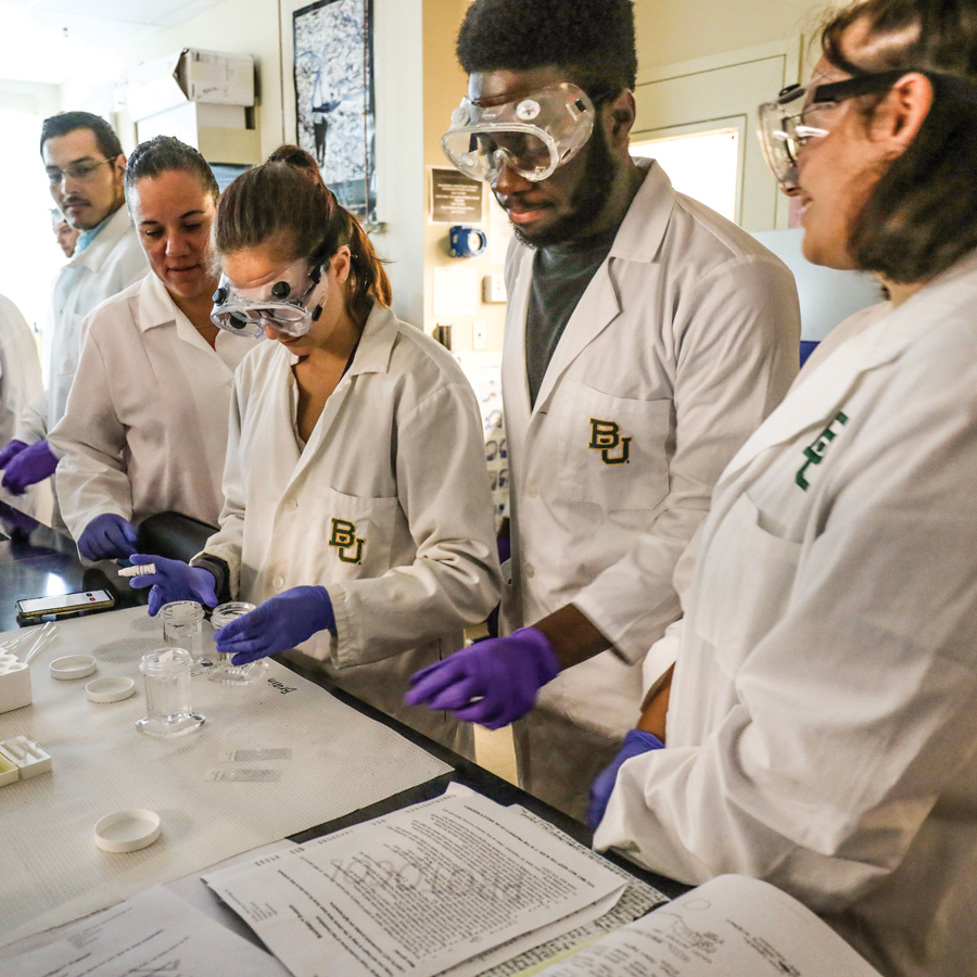 Students in Lab at the Baylor Sciences Building