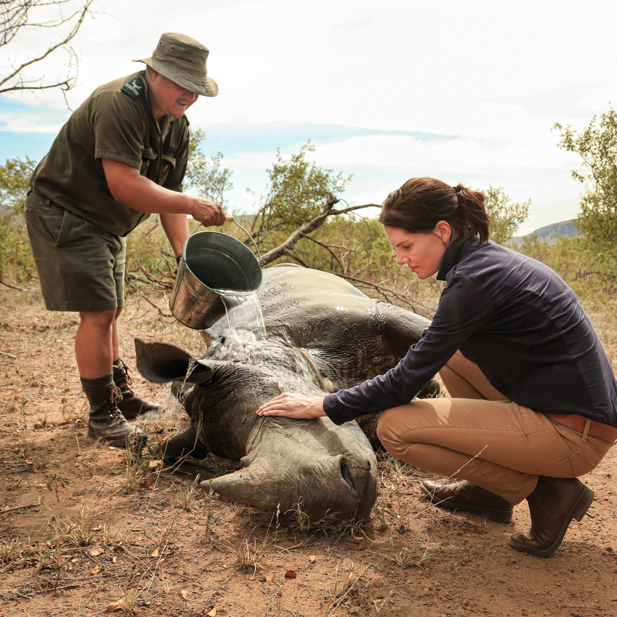 Fighting the Rhino War - Bonne De Bod alongside a Suffering Rhino