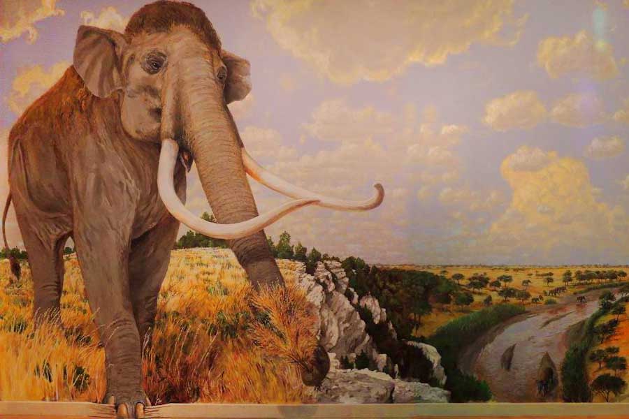 Mayborn Mammoth Mural