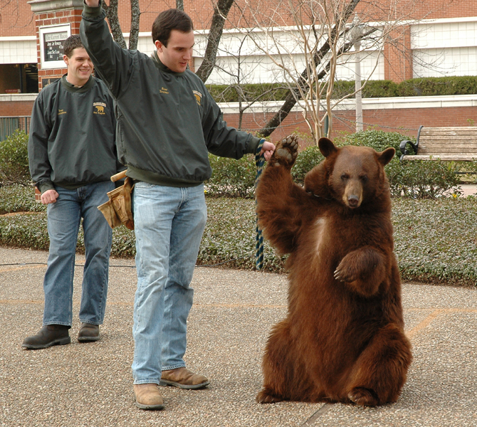 Bear Habitat Groundbreaking Photo Feature | Media and Public Relations ...