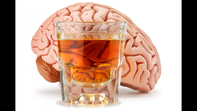 BrainAlcohol